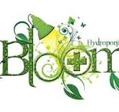 Doctor Blooms